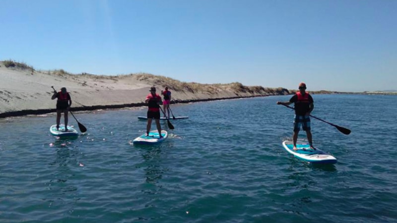 Take to the water and learn how to paddle board on the gorgeous Mangawhai harbour!